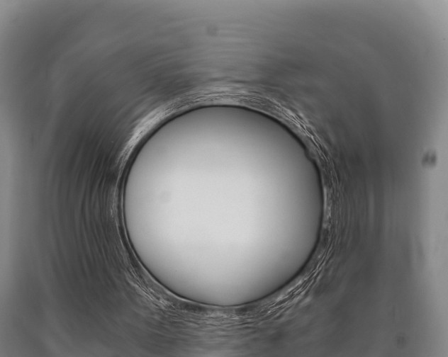 X0000090920099200707301102