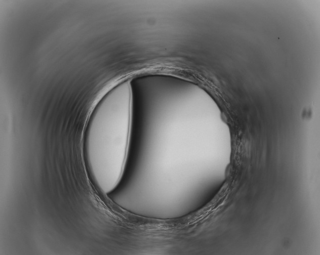 X0000090920100200707301102