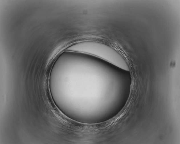 X0000090920101200707301102