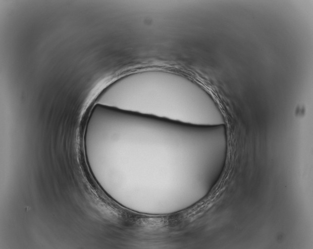 X0000090920102200707301102
