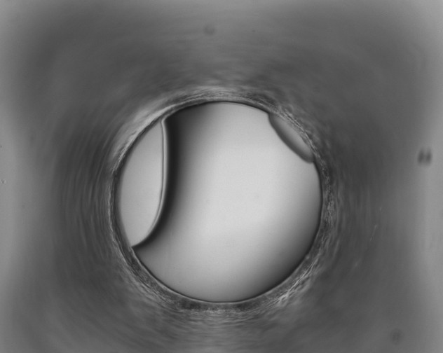 X0000090920103200707301102