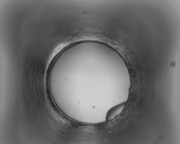 X0000090920104200707301102