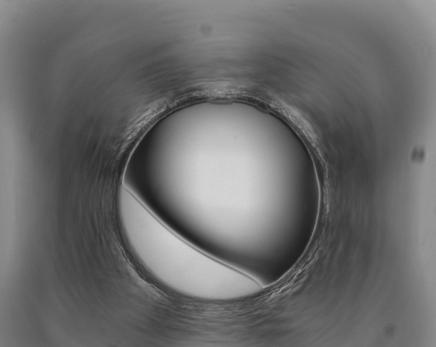 X0000090920105200707301102