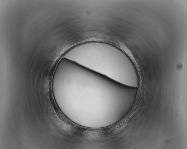 X0000090920106200707301102