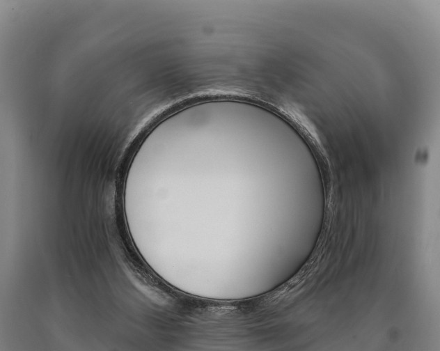 X0000090920108200707301102