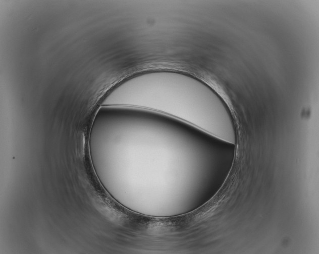 X0000090920109200707301102