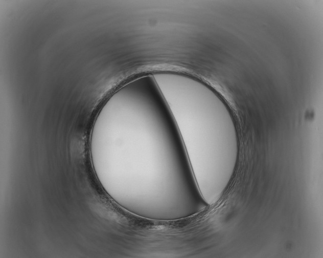 X0000090920111200707301102