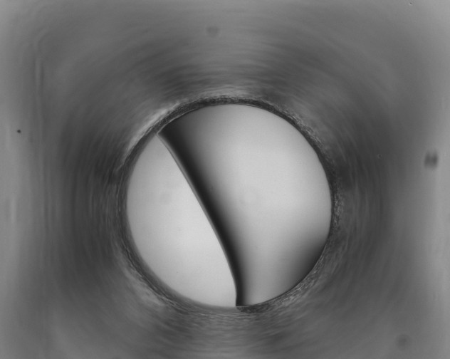 X0000090920112200707301102