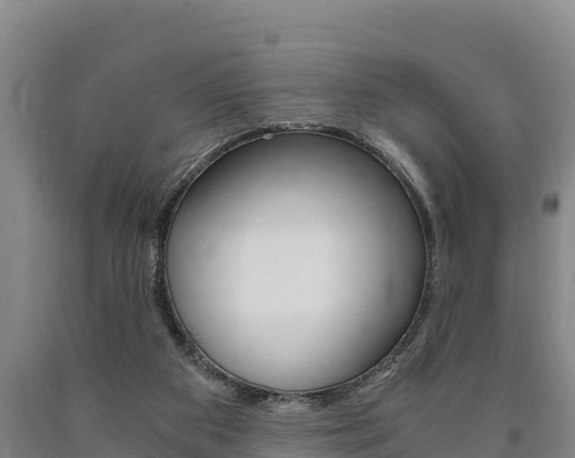 X0000090920113200707301102