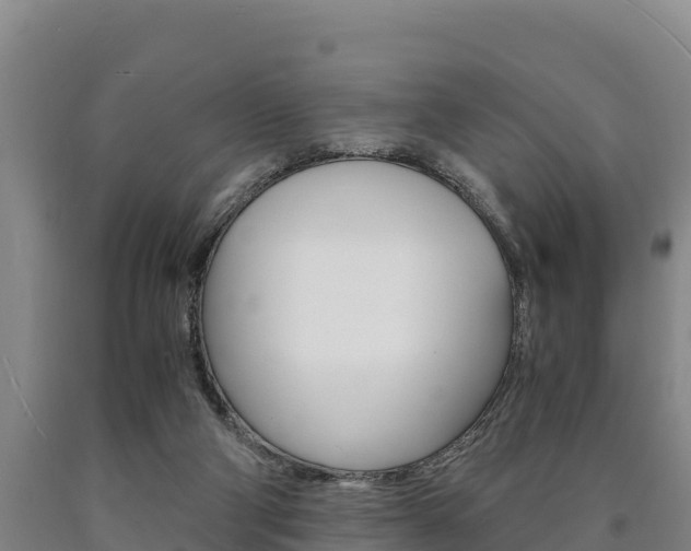 X0000090920114200707301102
