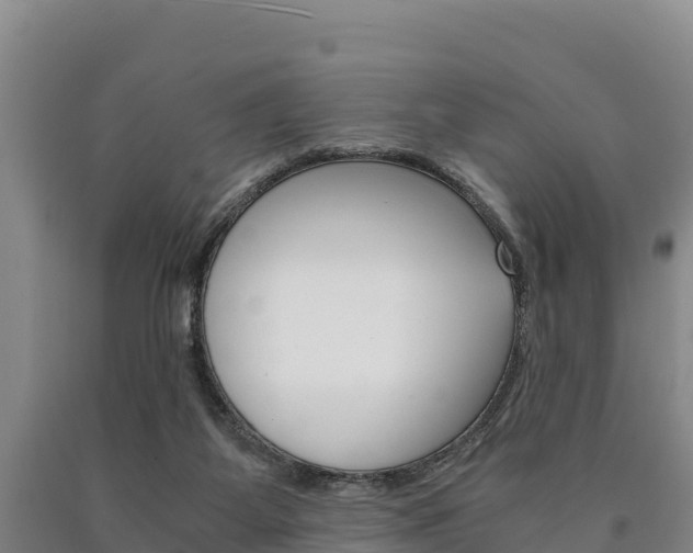 X0000090920115200707301102