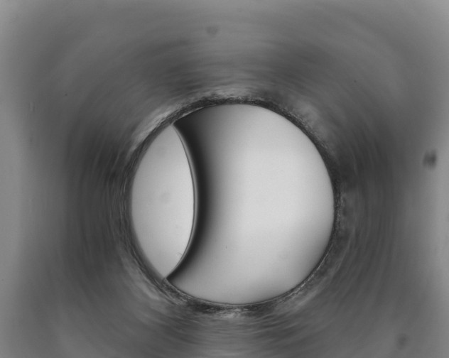 X0000090920116200707301102