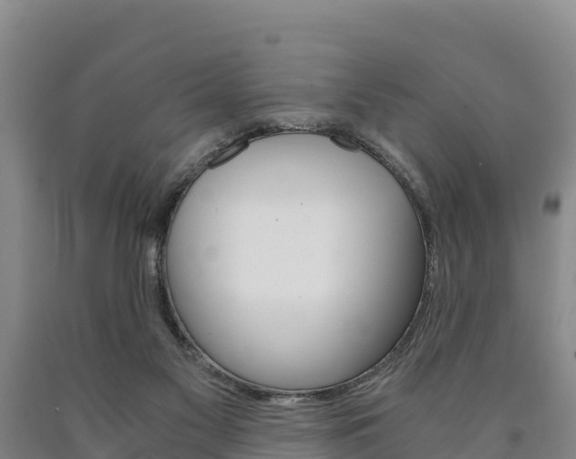 X0000090920117200707301102