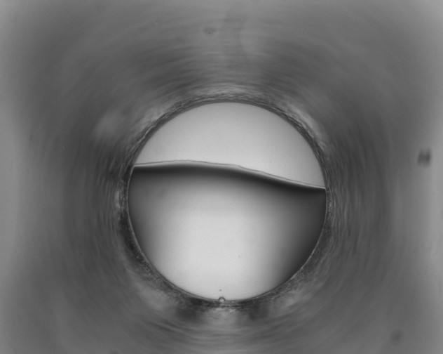 X0000090920119200707301102