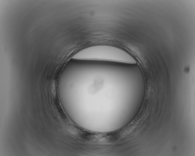 X0000090920121200707301102