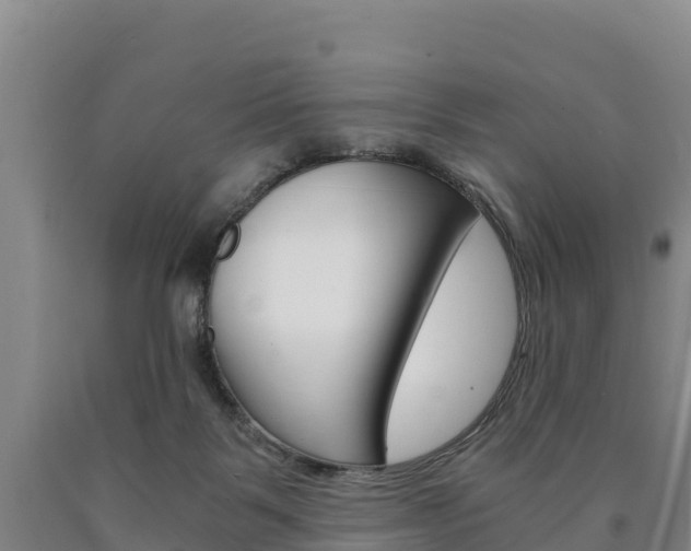 X0000090920123200707301102