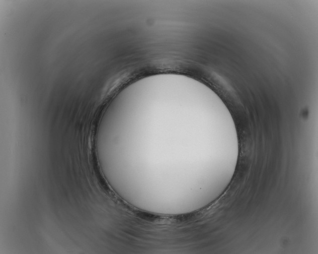 X0000090920124200707301102