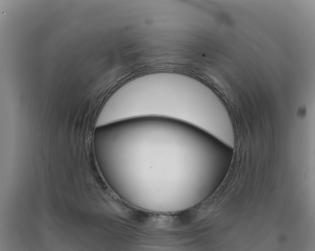 X0000090920125200707301102