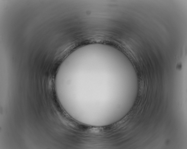 X0000090920126200707301102