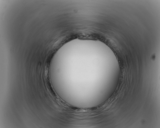 X0000090920129200707301102