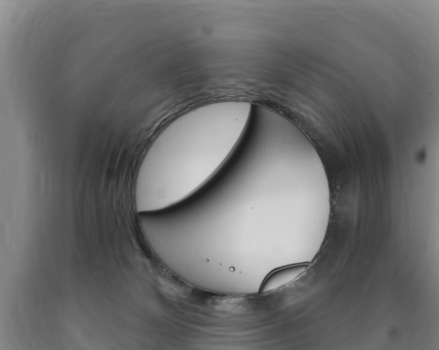 X0000090920132200707301102