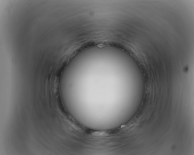 X0000090920133200707301102