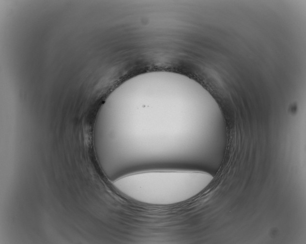 X0000090920135200707301102