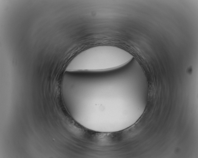 X0000090920136200707301102
