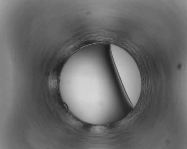 X0000090920137200707301102