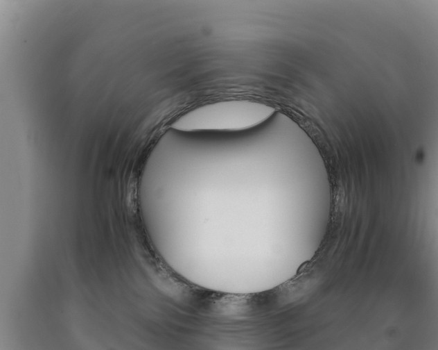 X0000090920138200707301102