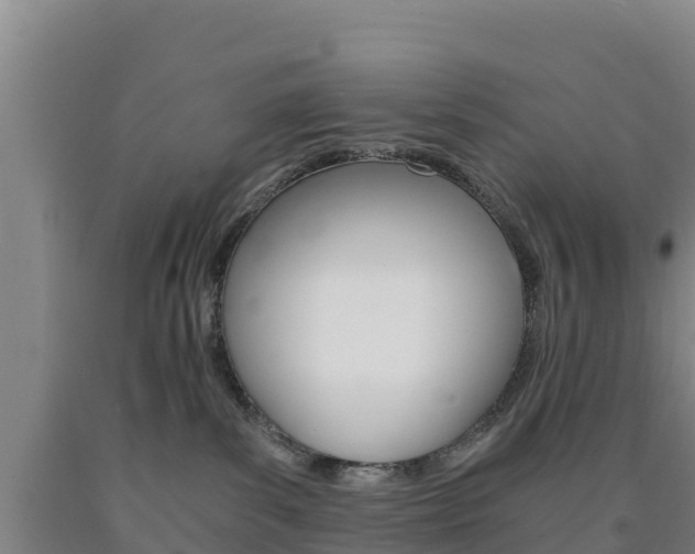 X0000090920139200707301102