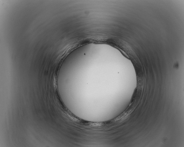 X0000090920143200707301102
