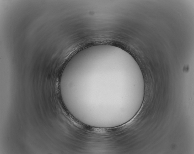 X0000090920144200707301102