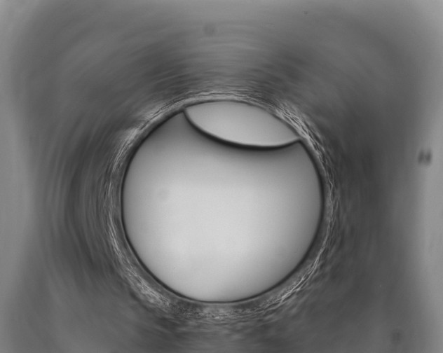 X0000090920145200707301101