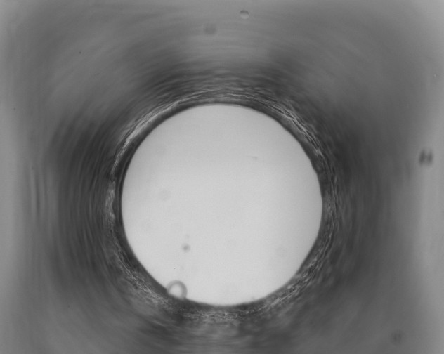 X0000090920146200707301101