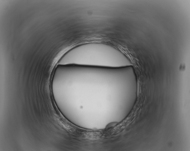 X0000090920147200707301101