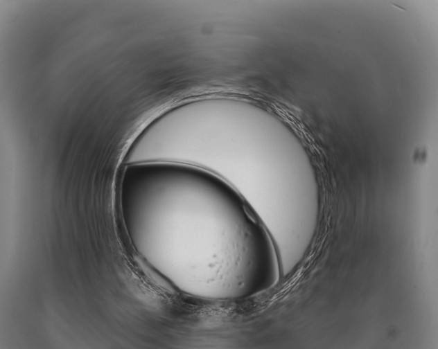 X0000090920148200707301101