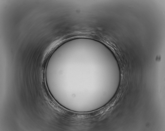 X0000090920149200707301101
