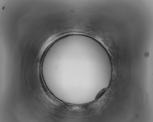X0000090920151200707301101