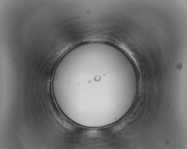 X0000090920153200707301101