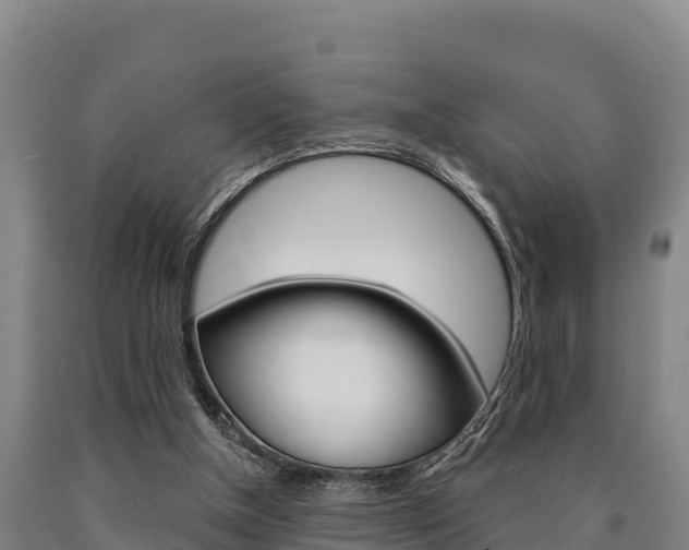 X0000090920154200707301101