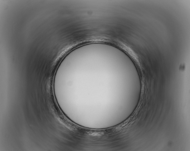 X0000090920155200707301101