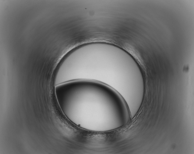 X0000090920156200707301101