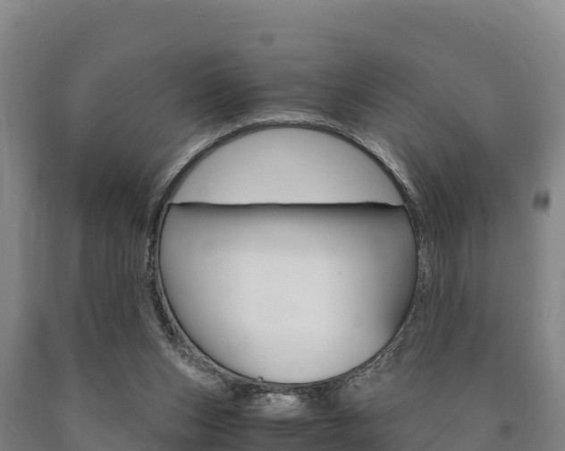 X0000090920159200707301101