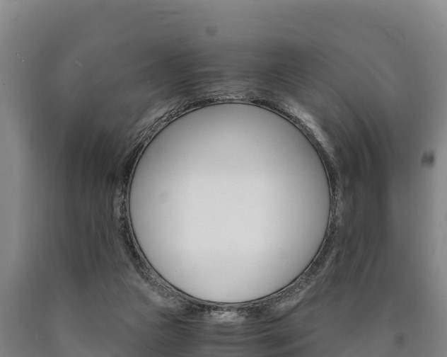 X0000090920161200707301101