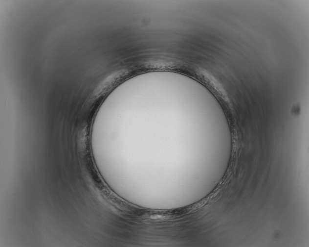 X0000090920163200707301101