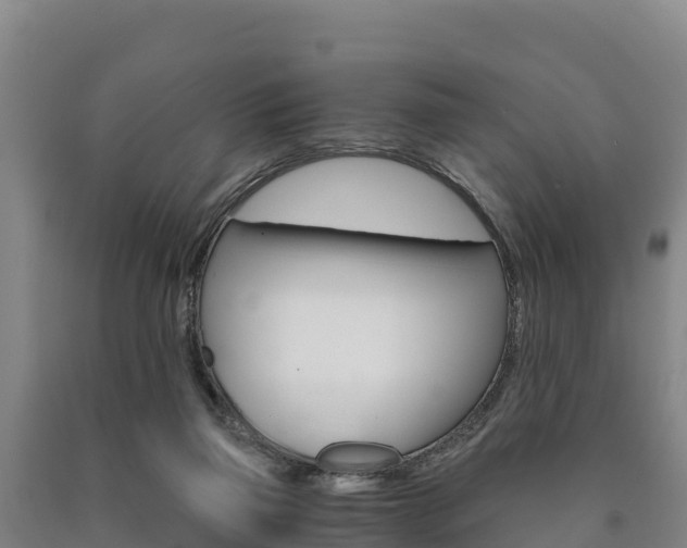 X0000090920165200707301101