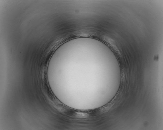 X0000090920167200707301101