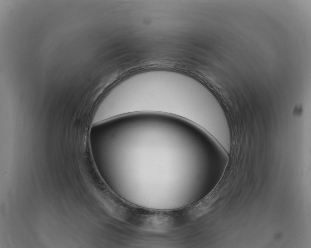 X0000090920168200707301101