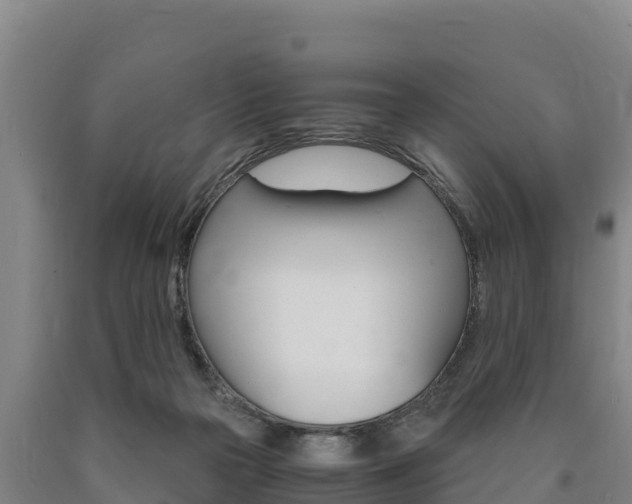 X0000090920169200707301101